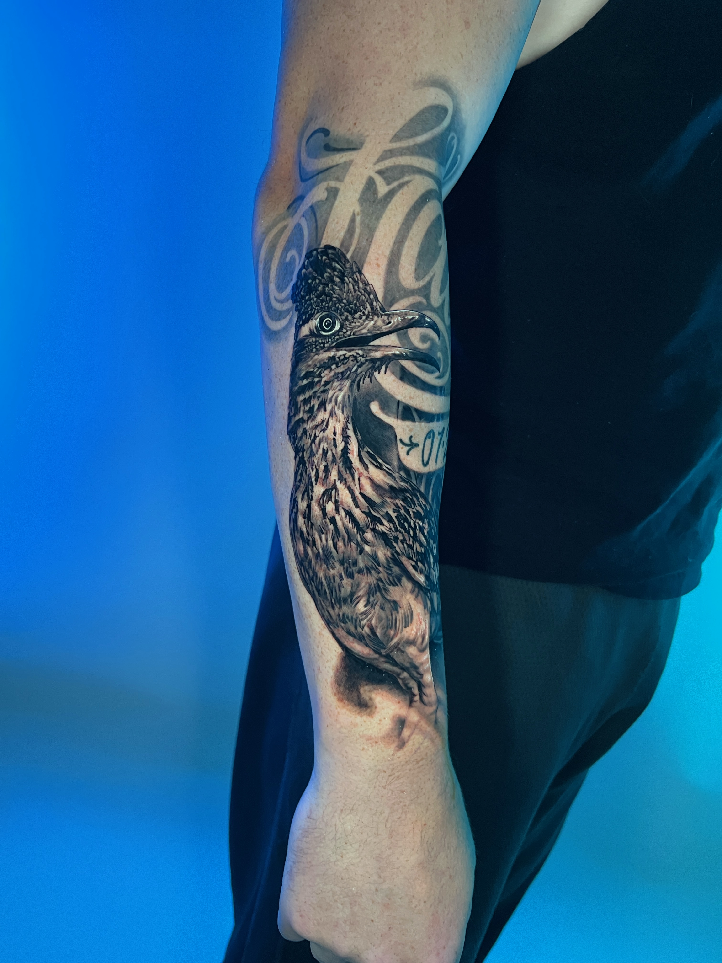 black and gray roadrunner